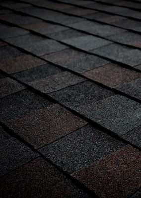 Tamko Heritage® Asphalt Shingles Black Walnut Tamko Heritage® Asphalt Shingles Black Walnut