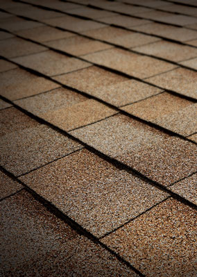 Tamko Heritage® Asphalt Shingles Desert Sand Tamko Heritage® Asphalt Shingles Desert Sand
