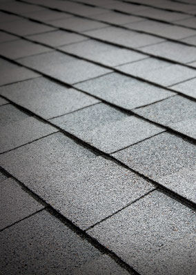 Tamko Heritage® Asphalt Shingles Glacier White Tamko Heritage® Asphalt Shingles Glacier White