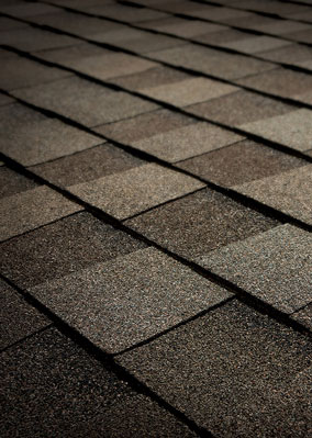 Tamko Heritage® Asphalt Shingles Natural Timber Tamko Heritage® Asphalt Shingles Natural Timber