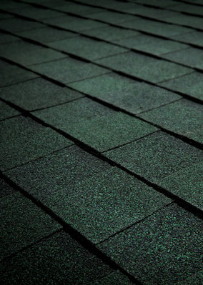 Tamko Heritage® Asphalt Shingles Rustic Evergreen Tamko Heritage® Asphalt Shingles Rustic Evergreen